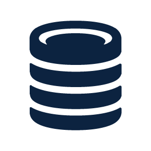 Data icon