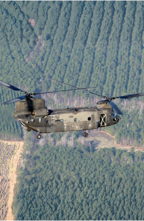Chinook